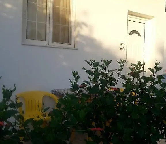 Iris أرخانجلوس