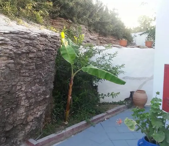 Iris أرخانجلوس