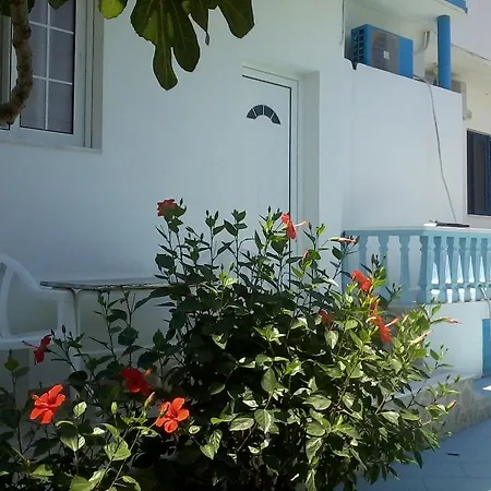 Iris Archangelos (Rhodes)