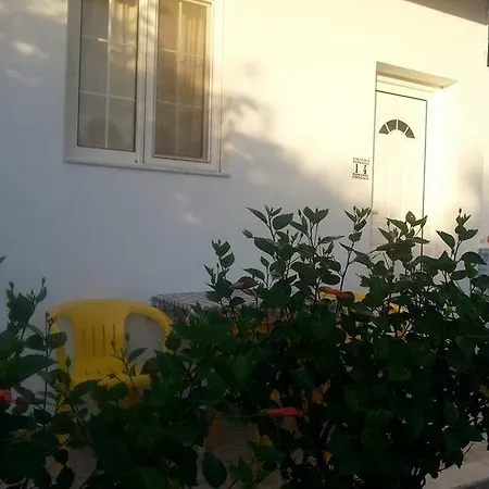 Iris Archangelos (Rhodes)