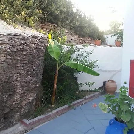 Iris Archangelos (Rhodes)